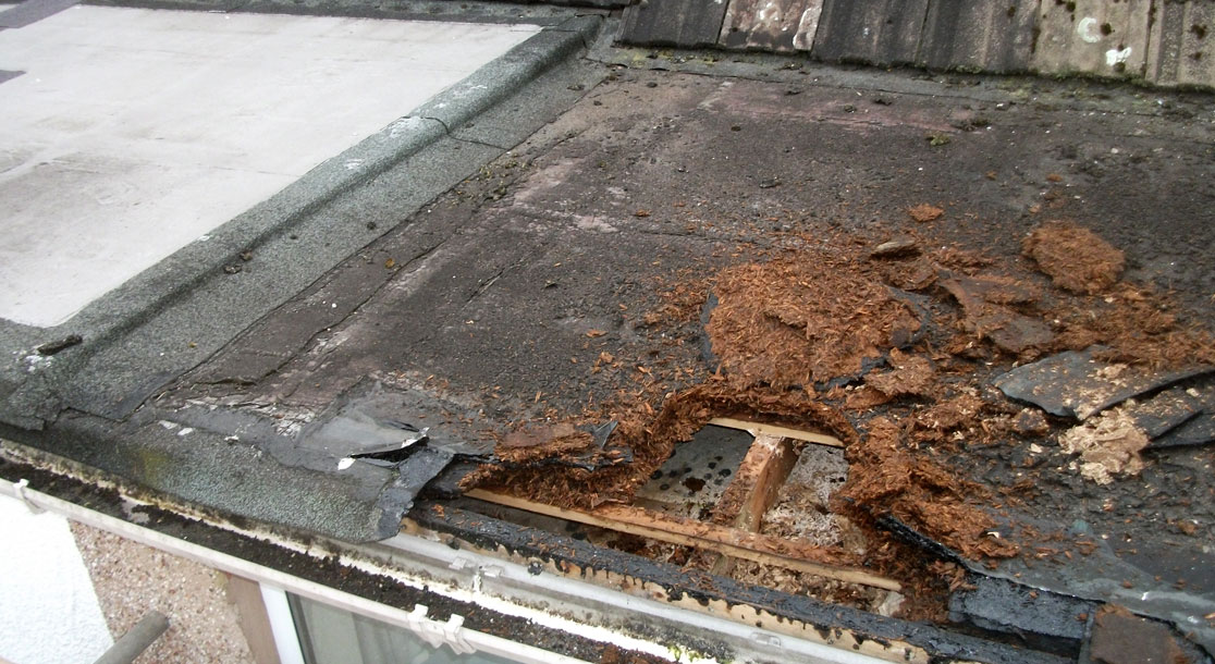 GRP Flat Roof Replacement