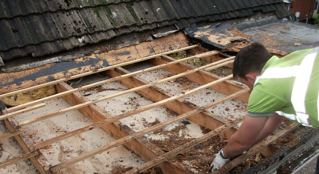GRP Flat Roof Replacement